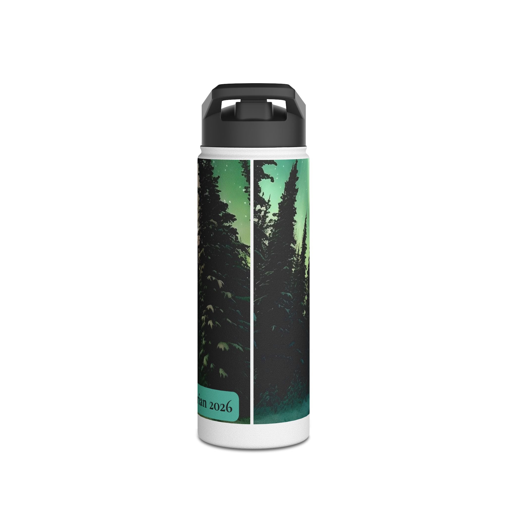 Personalized Disc Golf Stainless Steel Water Bottle – Custom Name Sports Bottle